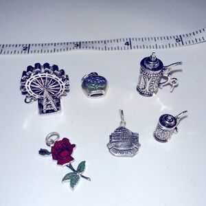 Set of 6 VNTG 900 & Sterling Silver German Wein, Rose charm bracelet charms